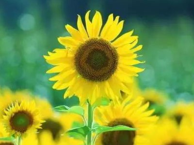 爱自己 爱生活 是什么意思