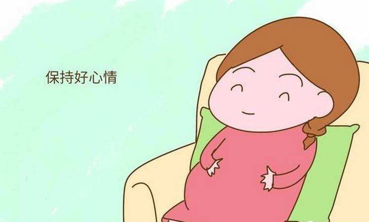 红鹦鹉鱼身上长黑斑点是怎么回事?