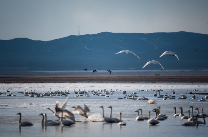 谁不说咱家乡好 歌词