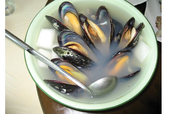 淡菜是什么东西啊?