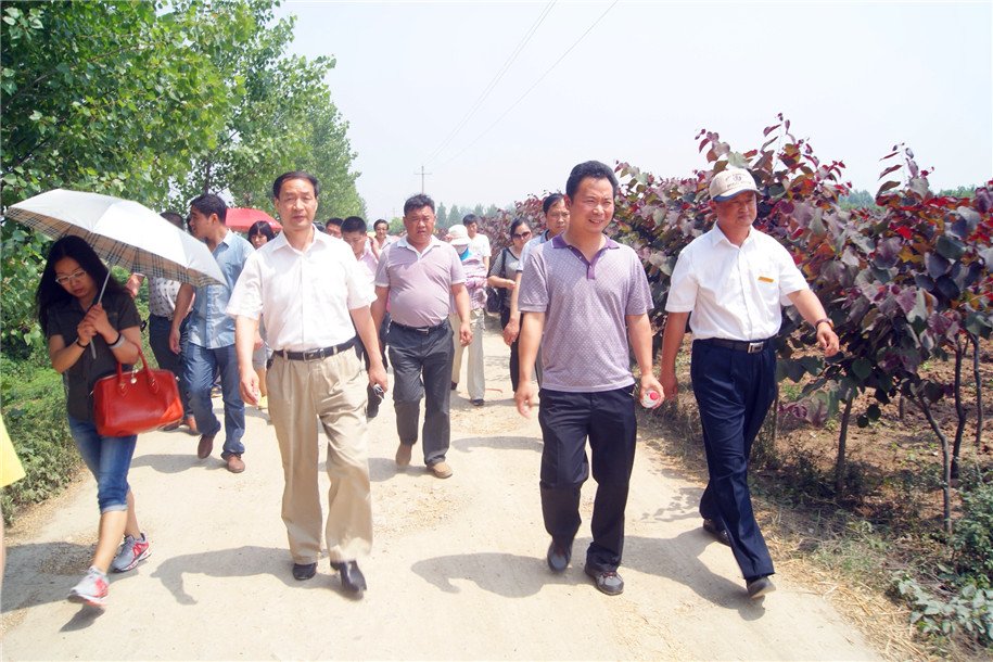 郑州市林业局的内设机构