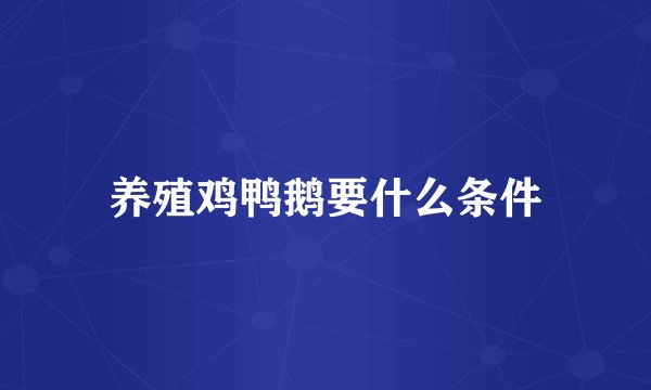 养殖鸡鸭鹅要什么条件