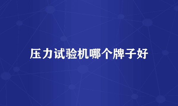 压力试验机哪个牌子好