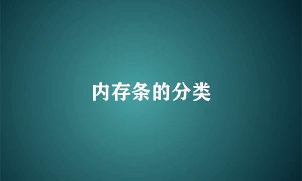 内存条的分类