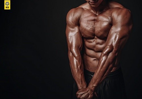 肌肉量偏低,要健身还是跑步?