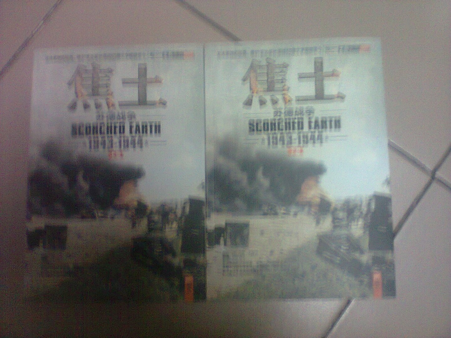 推荐一些二战德国方面的内容的书/小说