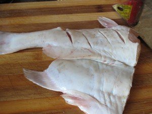 江团鱼一般多少斤