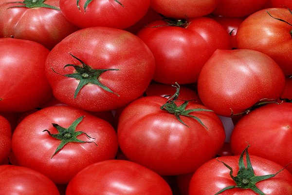 能起到健胃助消化作用的食物有哪些呢？