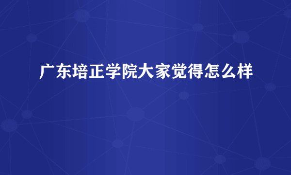 广东培正学院大家觉得怎么样