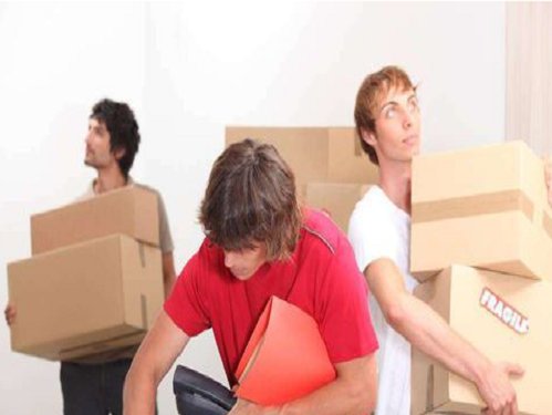 家里信号不好 怎么提高手机的信号