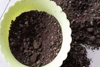 盆栽花卉生虫一般用什么药