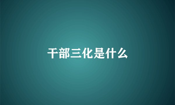 干部三化是什么