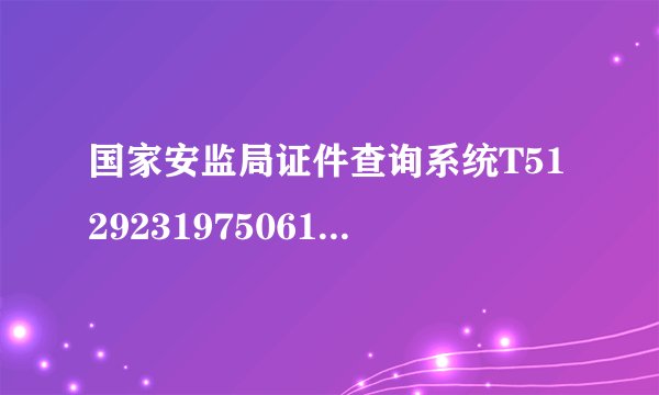 国家安监局证件查询系统T512923197506165011？