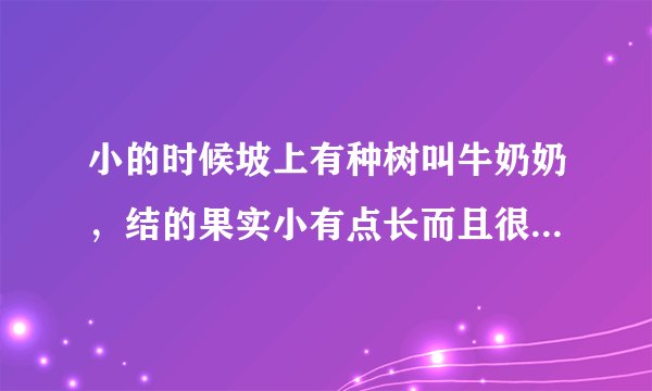小的时候坡上有种树叫牛奶奶，结的果实小有点长而且很好吃带点酸。我老家是四川的。请问它的书名叫什么