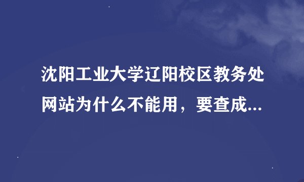 沈阳工业大学辽阳校区教务处网站为什么不能用，要查成绩查不了