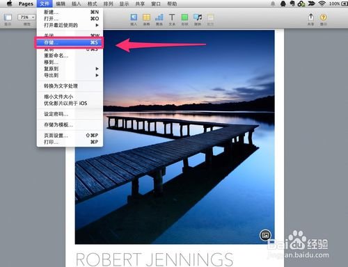 pages是什么格式