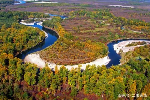 植树节是什么时候确定的