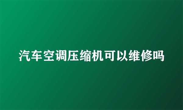 汽车空调压缩机可以维修吗