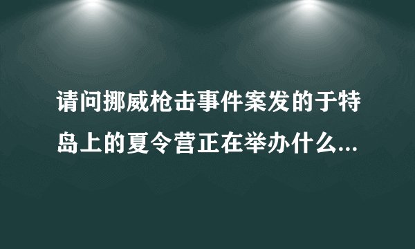请问挪威枪击事件案发的于特岛上的夏令营正在举办什么活动? 凶手怎么登陆的?