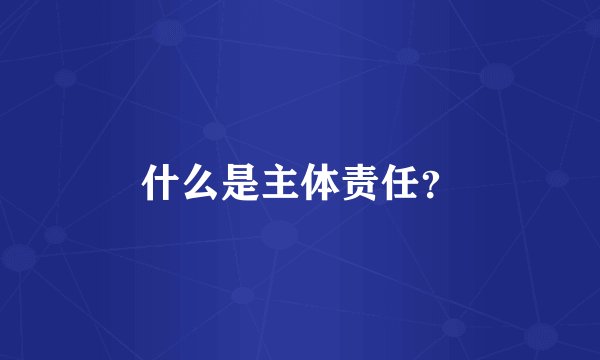 什么是主体责任？