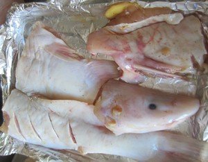 江团鱼一般多少斤