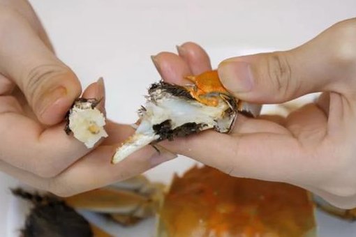 正确的吃螃蟹步骤是怎样的？