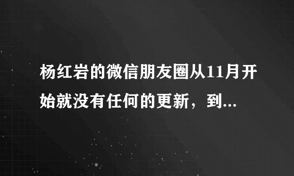 杨红岩的微信朋友圈从11月开始就没有任何的更新，到底怎么了，还没有被警察局放出来吗？