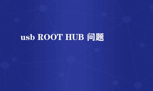 usb ROOT HUB 问题