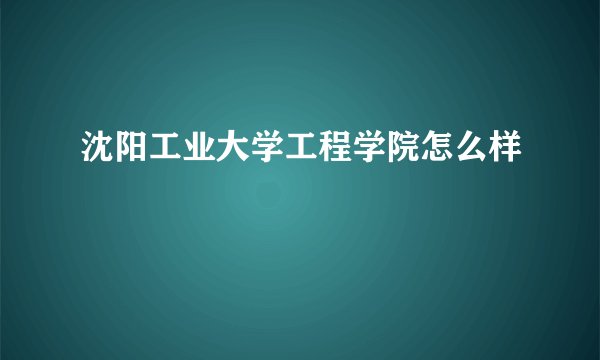 沈阳工业大学工程学院怎么样