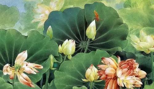 画的种类都有什么??