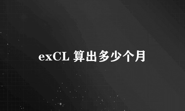 exCL 算出多少个月