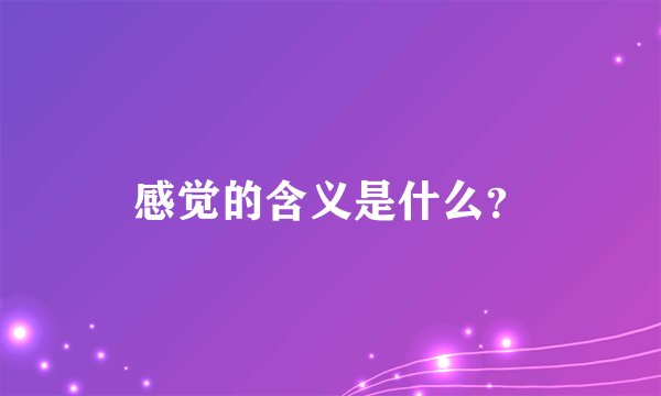感觉的含义是什么？