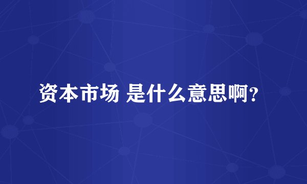 资本市场 是什么意思啊？