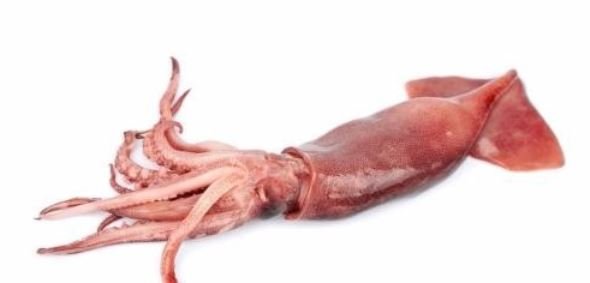 鱿鱼、目鱼什么区别?