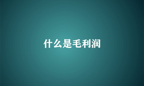 什么是毛利润
