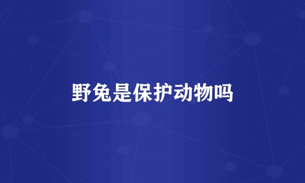 野兔是保护动物吗