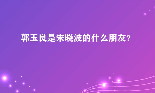 郭玉良是宋晓波的什么朋友？