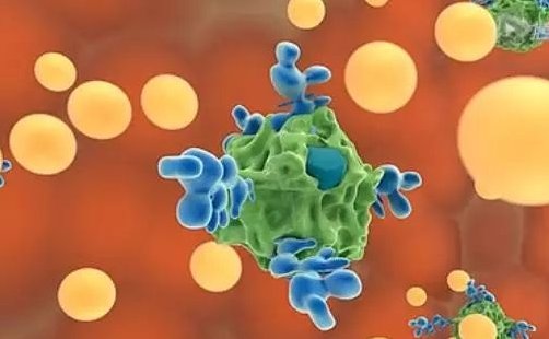 脂肪酶高是为什么？？