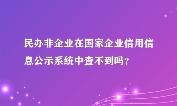 民办非企业在国家企业信用信息公示系统中查不到吗？