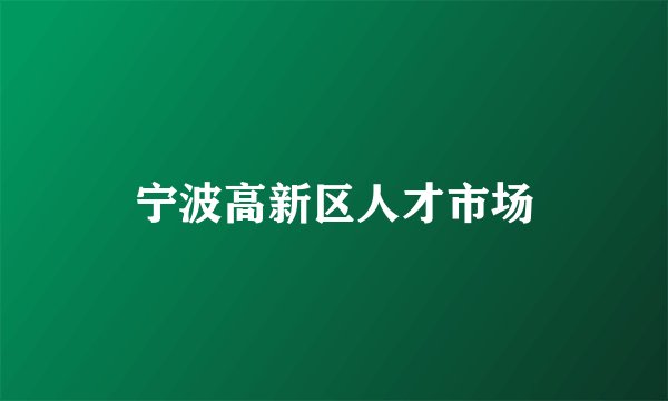 宁波高新区人才市场