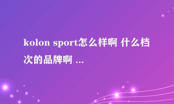 kolon sport怎么样啊 什么档次的品牌啊 我知道好像是韩国最大的 但是不是很主流吧
