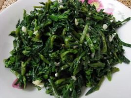 橄榄菜长什么样有图片吗