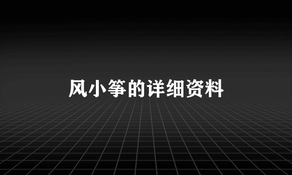 风小筝的详细资料