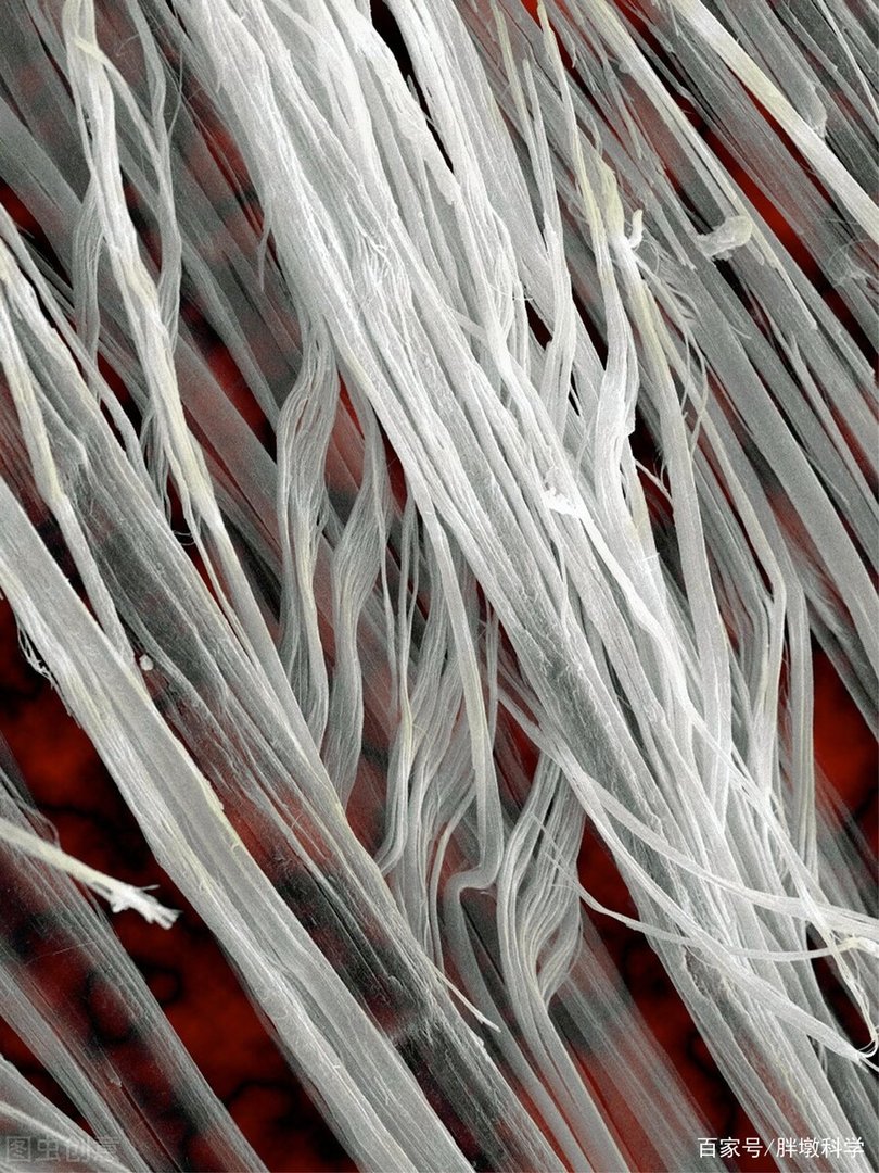 石棉的危害都有哪些，为何一直没有禁止它的使用？