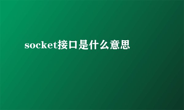 socket接口是什么意思
