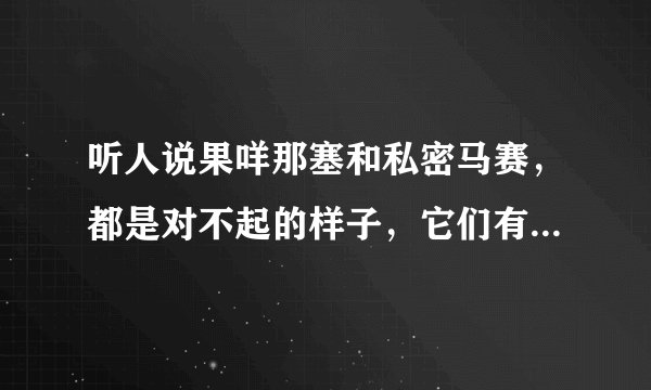 听人说果咩那塞和私密马赛，都是对不起的样子，它们有什么区别求解释