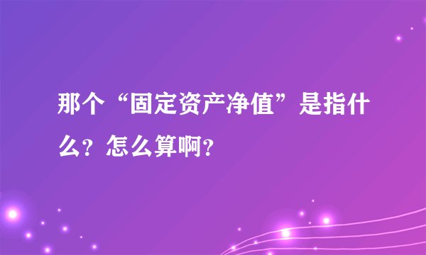 那个“固定资产净值”是指什么？怎么算啊？