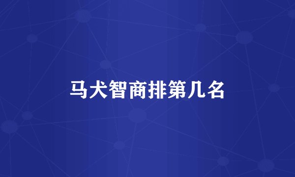 马犬智商排第几名