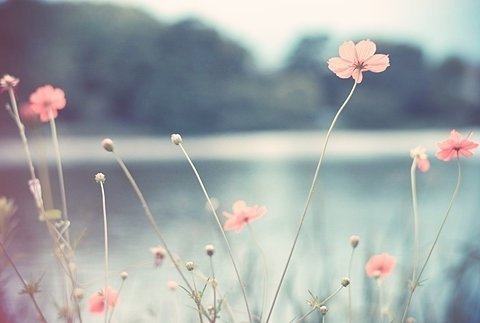 爱护眼睛的图片（作业啊）