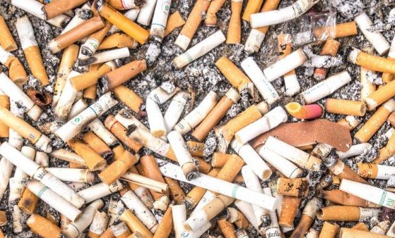 烟头60元一斤大爷大妈排队来卖，回收烟头的目的是什么？